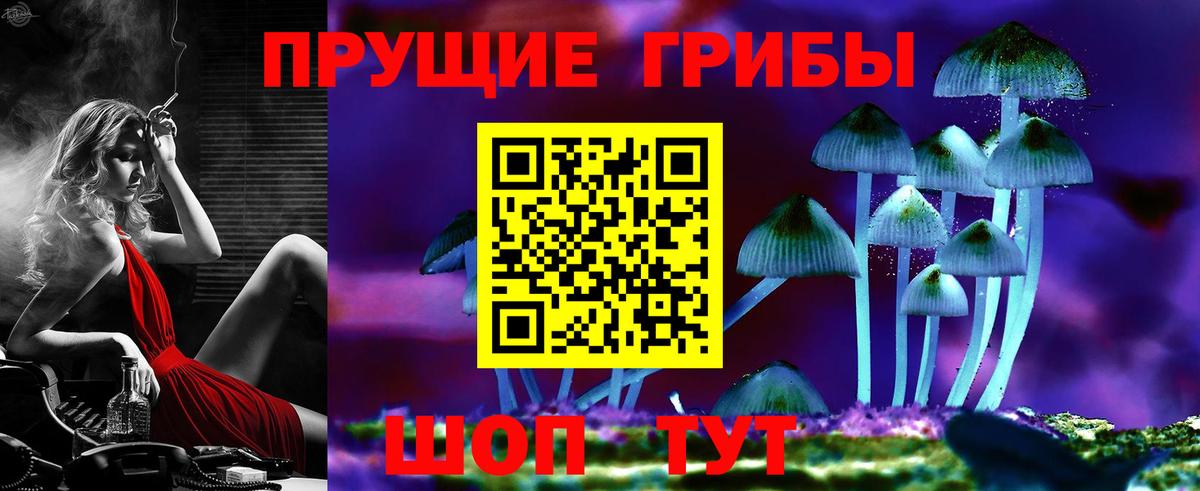 Феодосия  как найти закладки  Вход с VPN  Галлюциногенные грибы MAGIC MUSHROOMS 