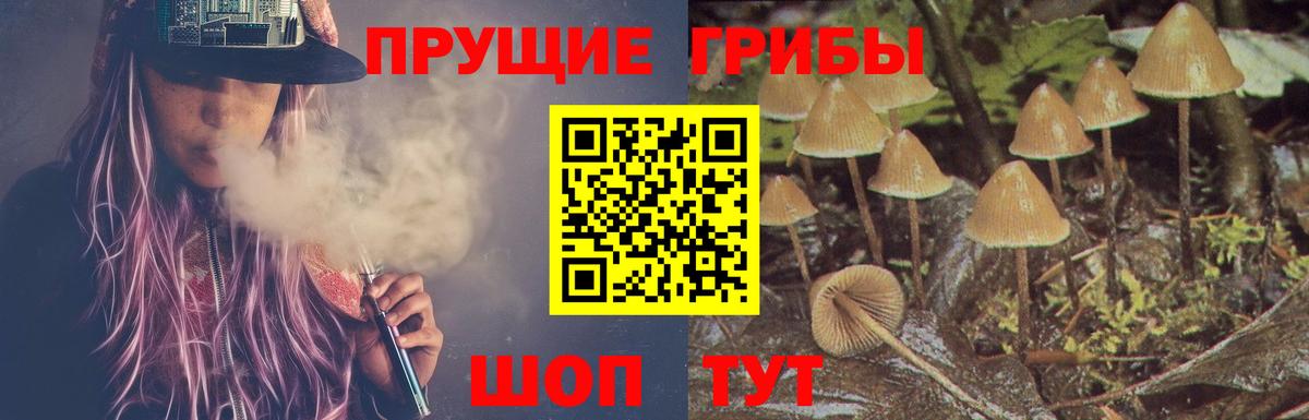 Галлюциногенные грибы GOLDEN TEACHER Феодосия